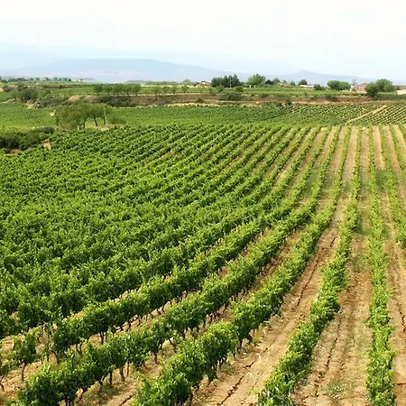 Guest house Biazteri *